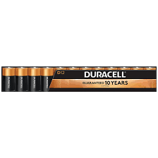 Duracell Coppertop D Batteries, 12 ct.